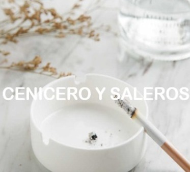 Ceniceros y saleros